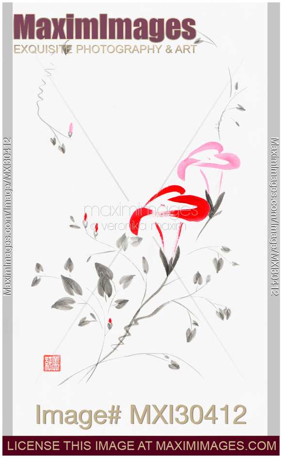Pink Morning Glory flowers Japanese Zen Sumi-e painting on white rice paper