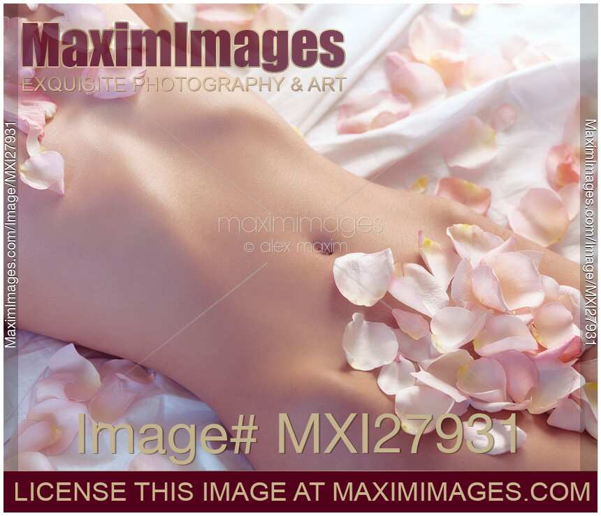 Pink rose petals on nude woman body