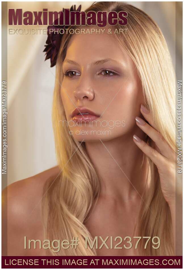 Portrait of a Beautiful Young Woman