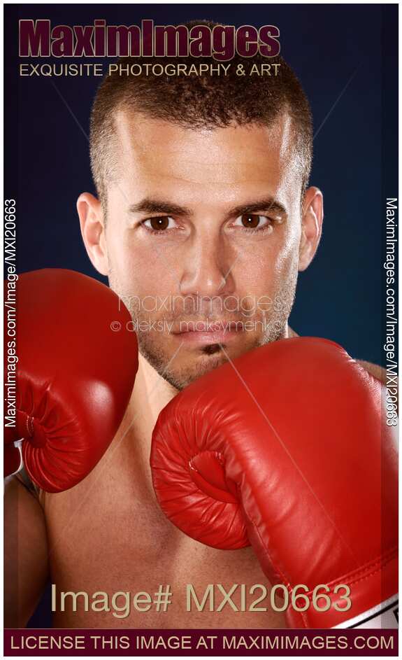 Portrait of a boxer