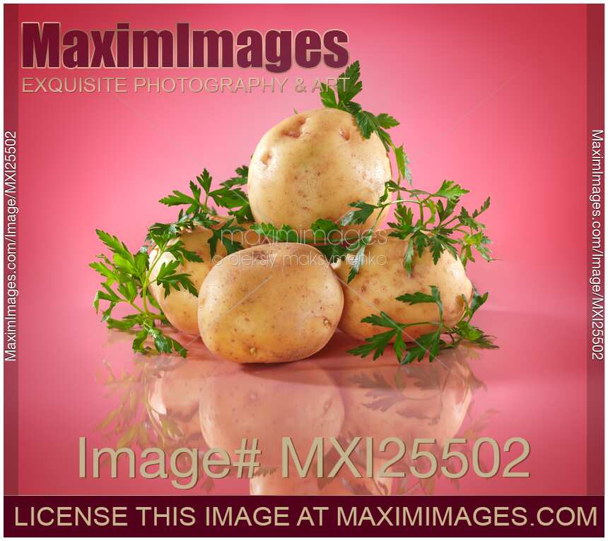 Potatoes on bright pink background