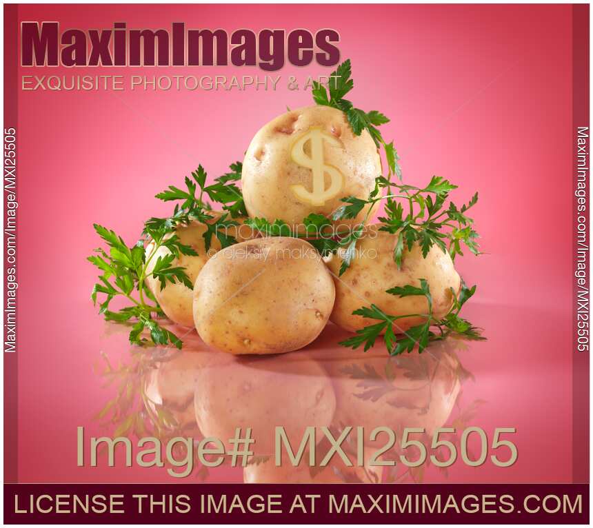 Potatoes with dollar symbol Food price concept