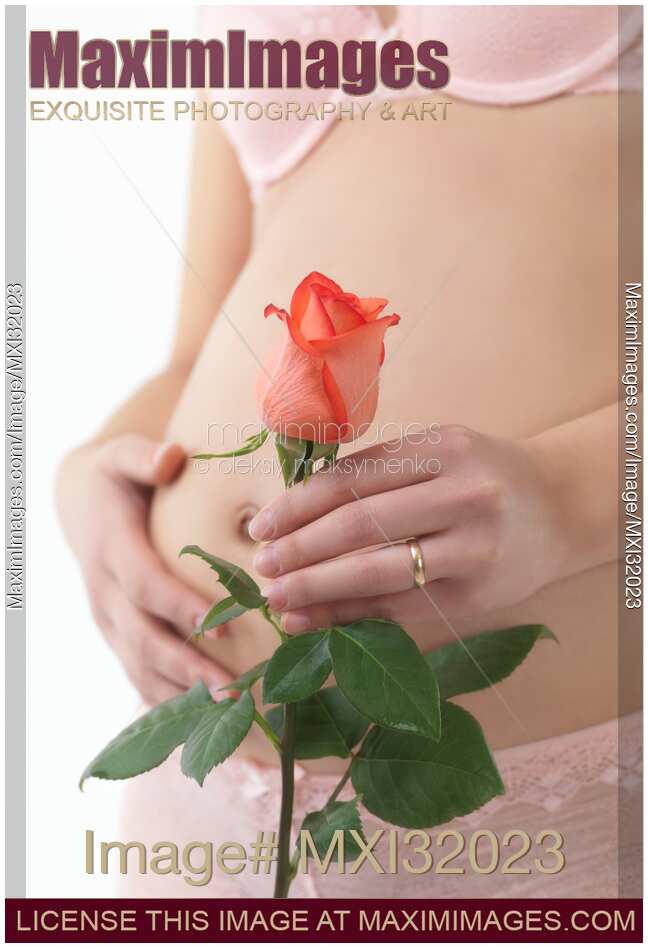 Pregnant Woman Holding a Red Rose