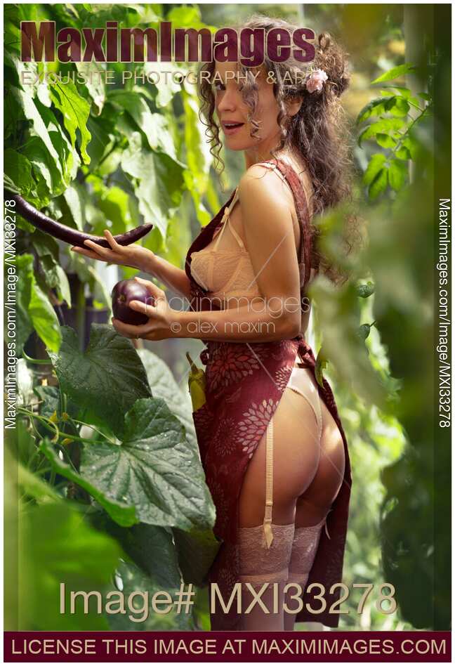 Pretty young woman, housewife in lingerie under apron, picking sexy eggplants in a garden for dinner Humorous suggestive pin up glamour