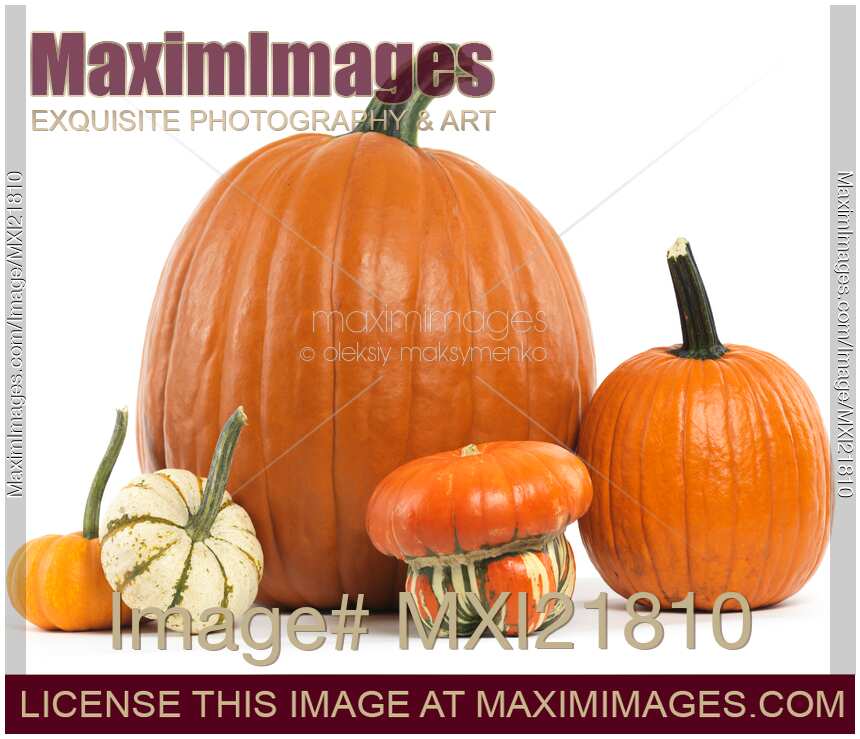 Pumpkins and Gourds