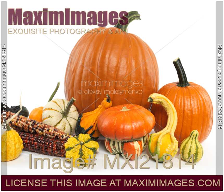 Pumpkins and Gourds