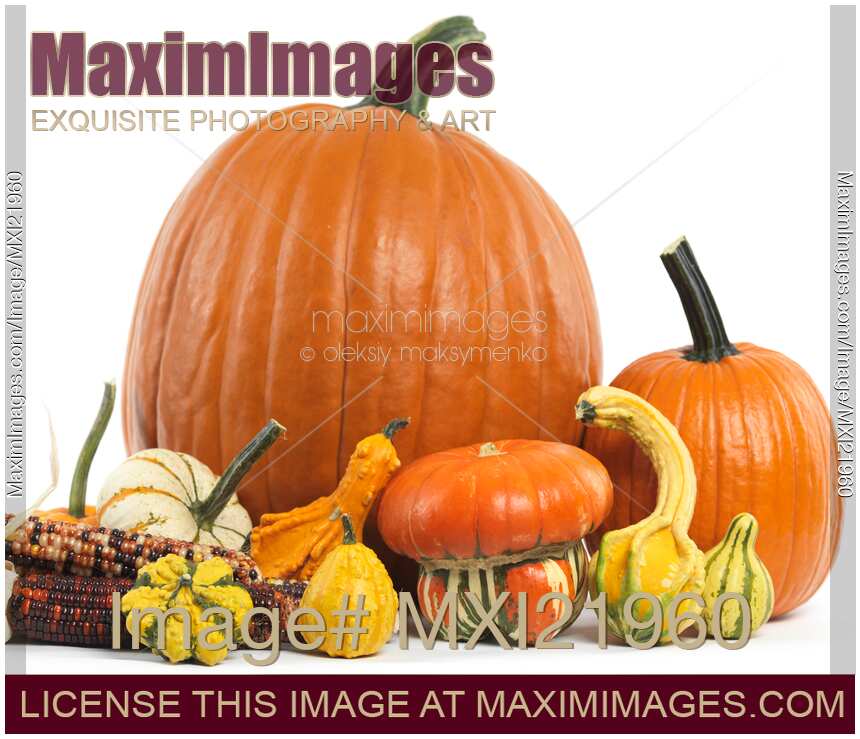 Pumpkins and Gourds