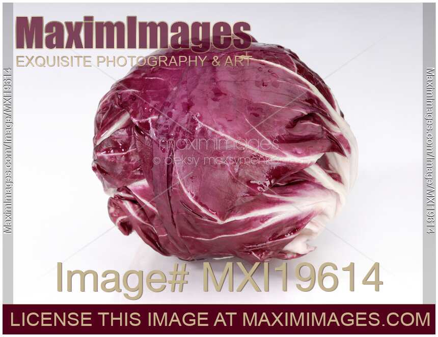 Radicchio