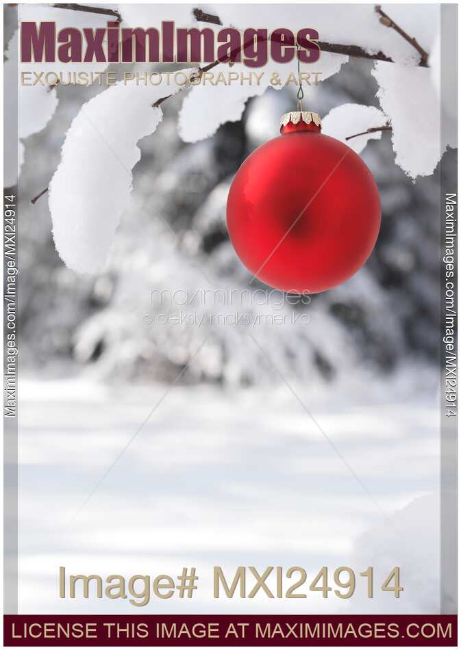 Red Christmas ornament on snow covered tree branch
