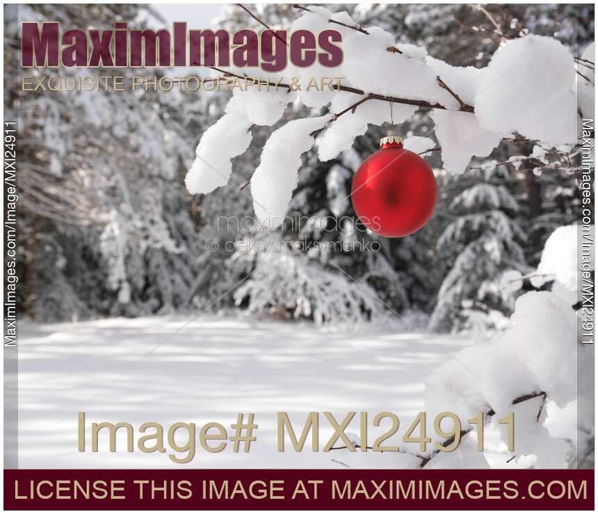 Red Christmas ornament on snow covered tree in forest