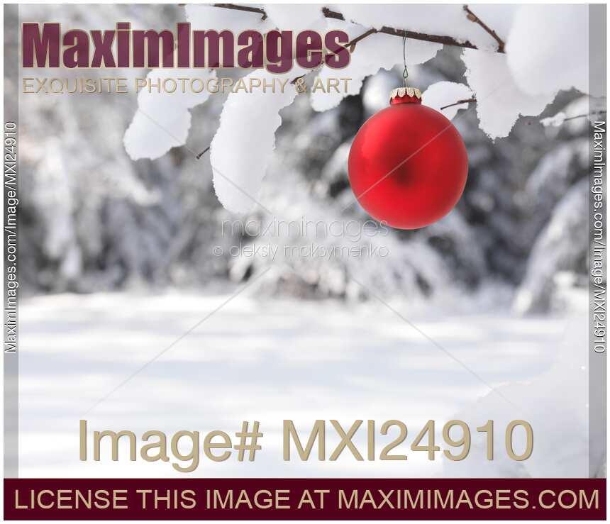 Red Christmas ornament on snow covered tree