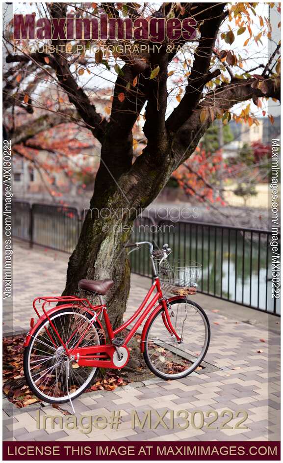 Red city bicycle by tree on a street in Kyoto Japan