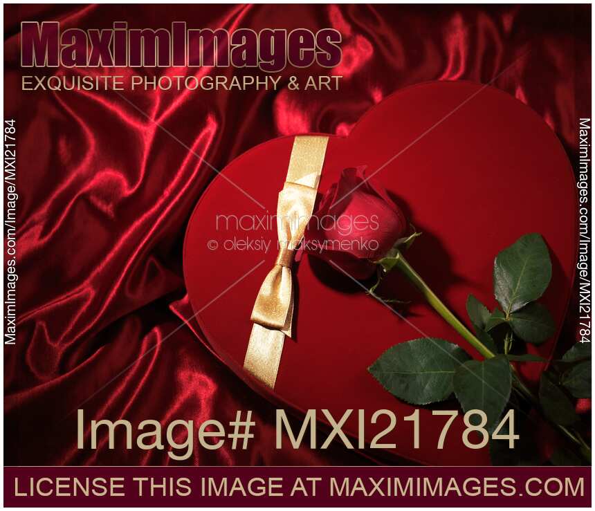 Red Heart-Shaped Gift Box and a Rose