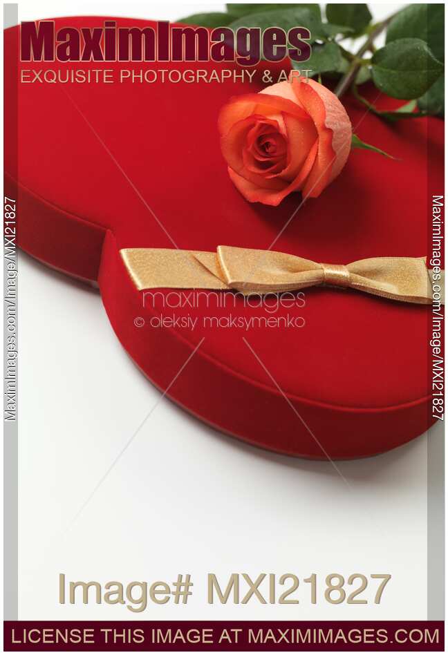 Red Heart-Shaped Gift Box and a Rose