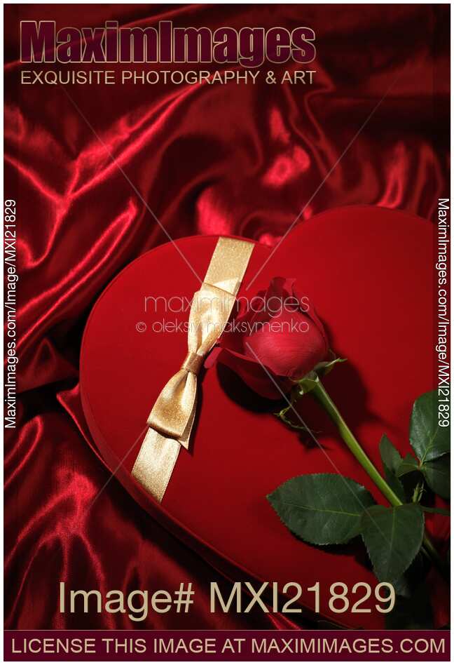 Red Heart-Shaped Gift Box and a Rose