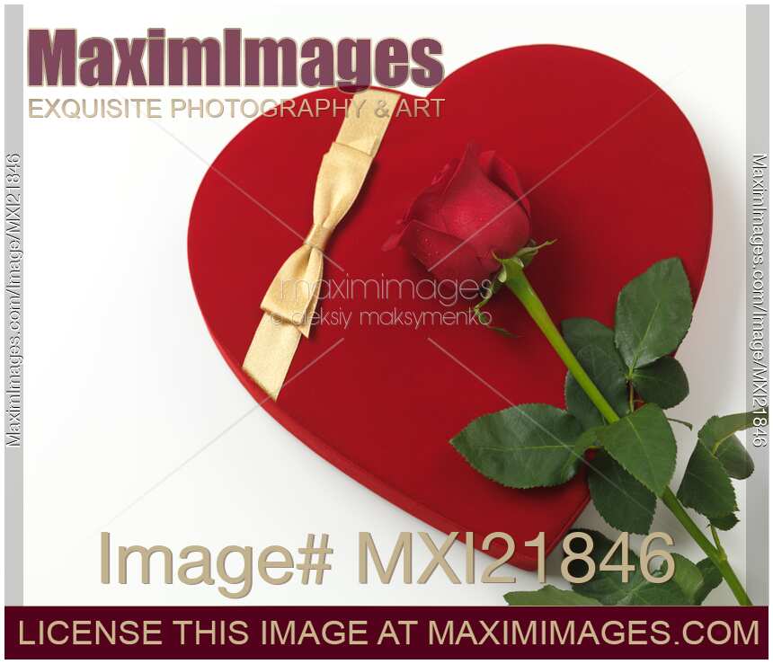 Red Heart-Shaped Gift Box and a Rose