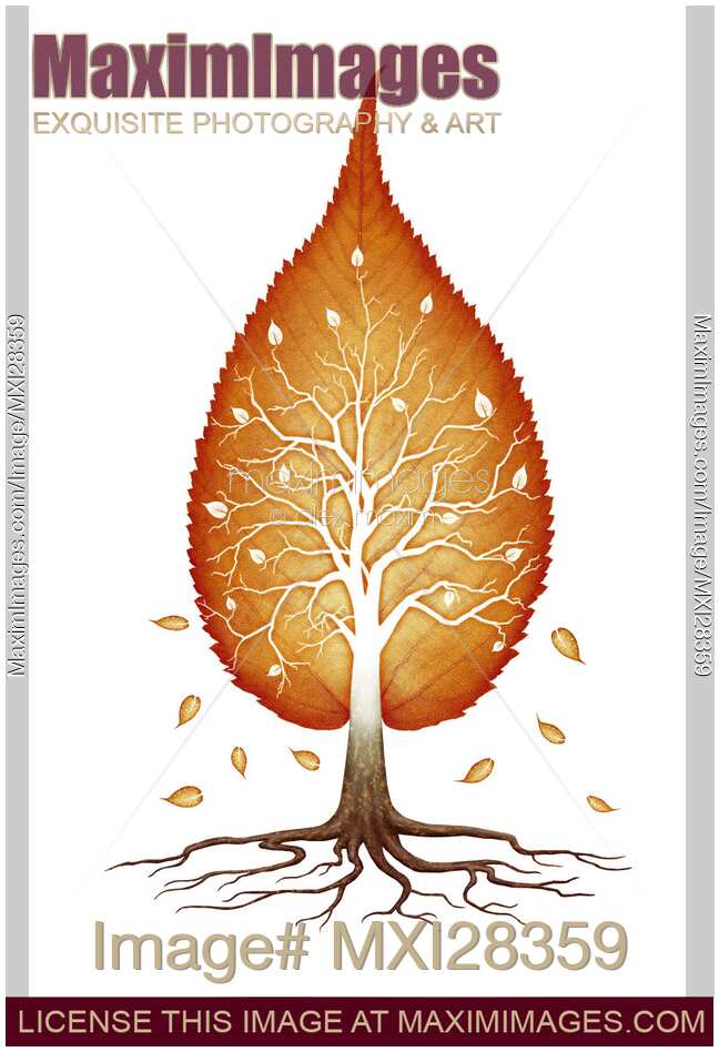 Red leaf shaped tree nature fractals concept