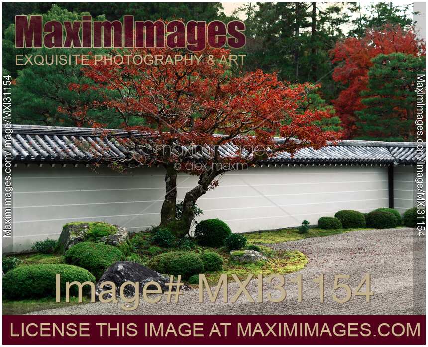 Red maple tree at Hojo-teien traditional rock garden at Nanzen-ji Temple Hojo