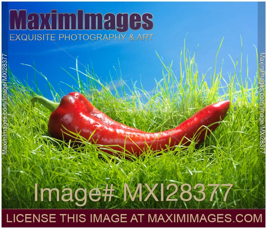 Red Marconi Long Sweet Pepper