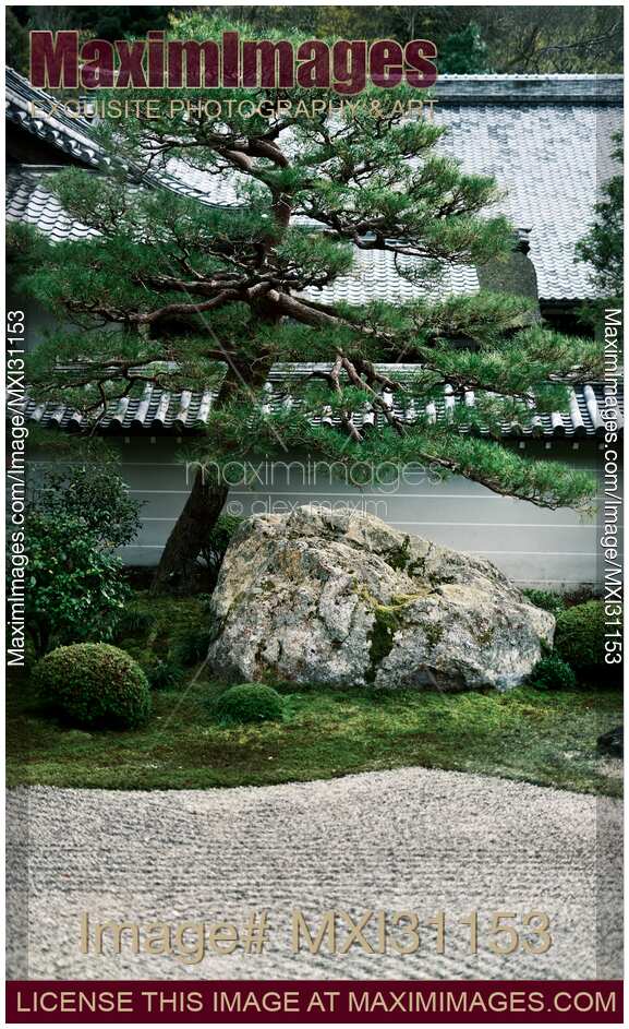 Red pine tree at Hojo-teien karesansui traditional rock Zen garden at Nanzen-ji Hojo