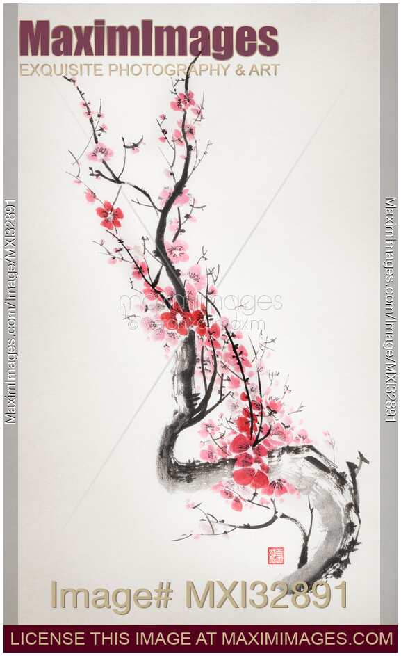 Red plum blossom Sakura branch with pink flowers Zen style sumi-e painting on rice paper
