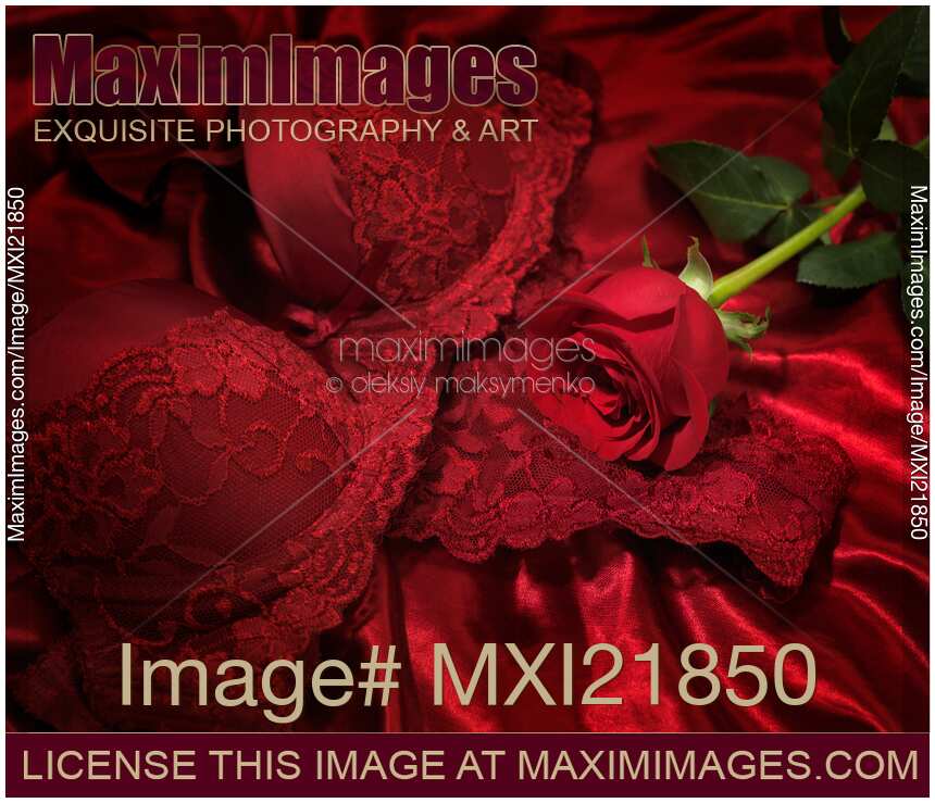 Red Rose and Lingerie