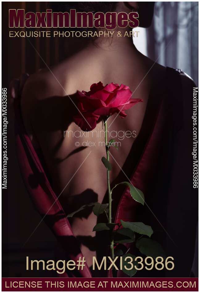 Red rose casting a shadow on a mysterious woman bare back. Dramatic sensual fine art photograph.