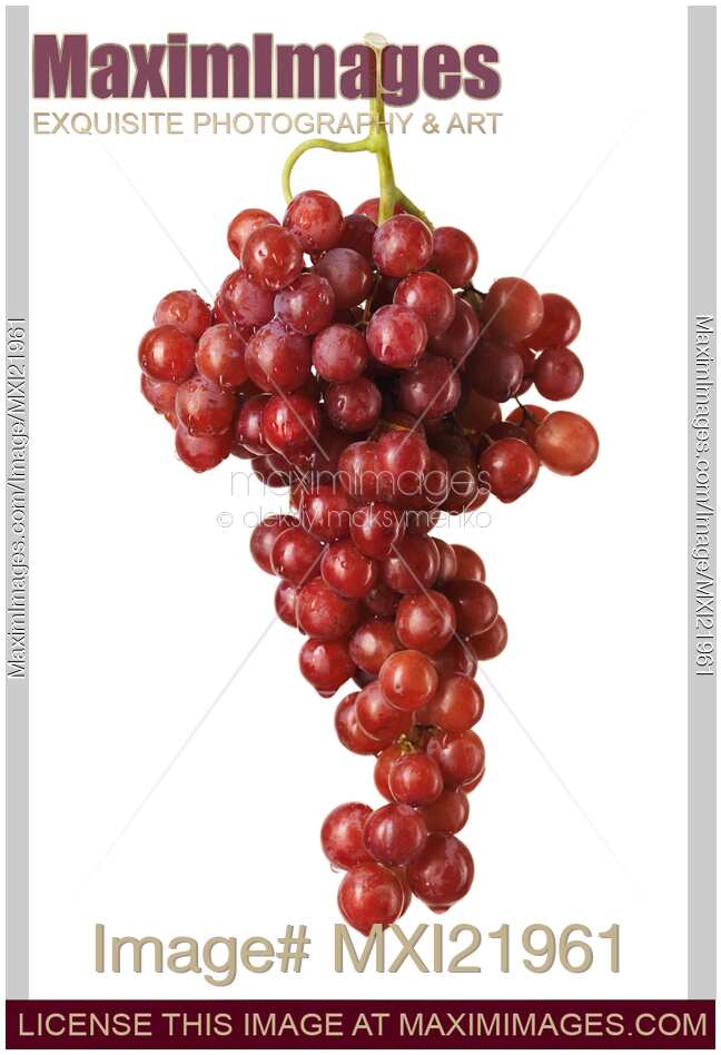 Red Seedless Grapes