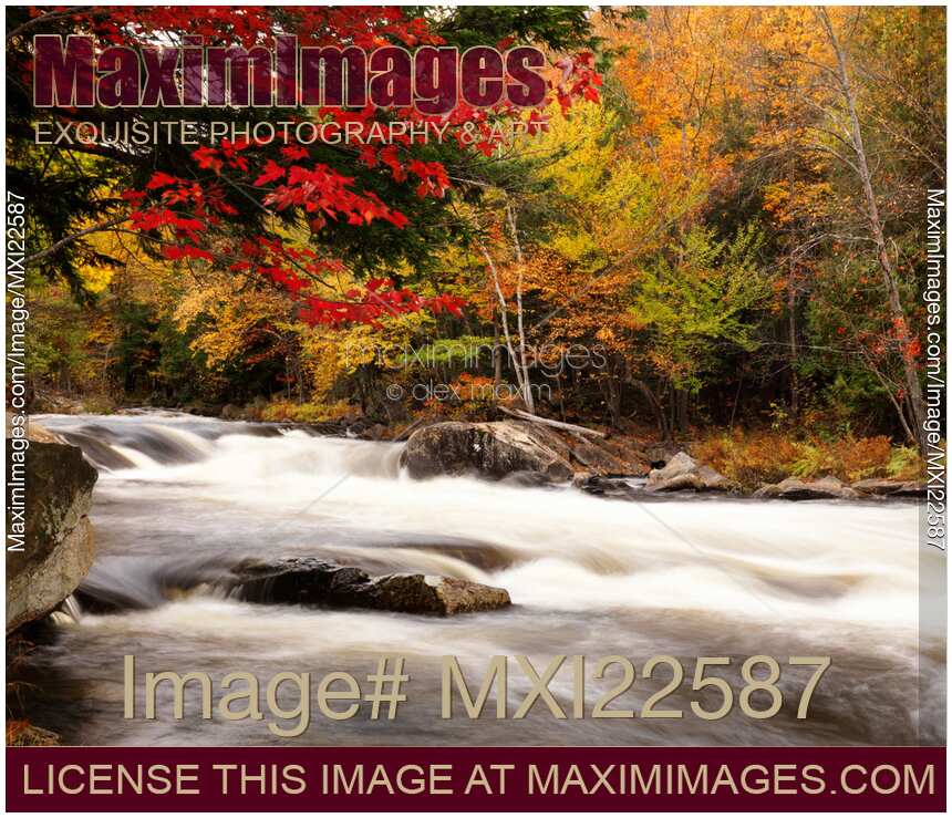 River Rapids Fall Nature Scenery