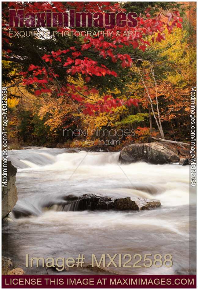 River Rapids Fall Nature Scenery