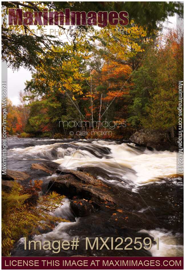 River Rapids Fall Nature Scenery