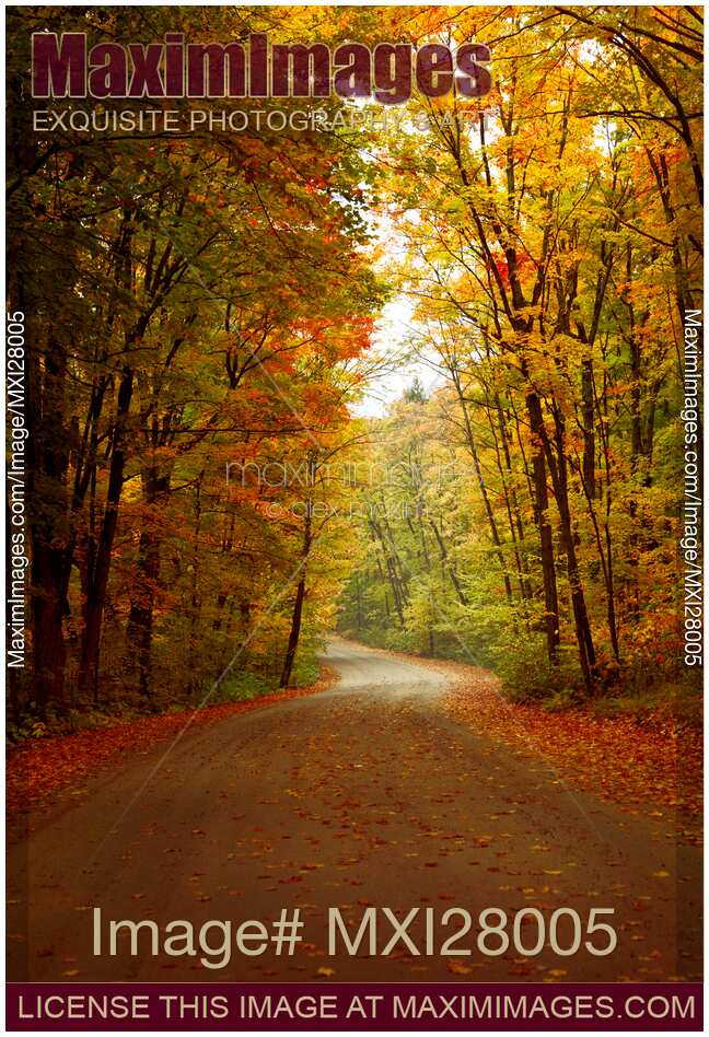 Road Through Colorful Fall Scenery