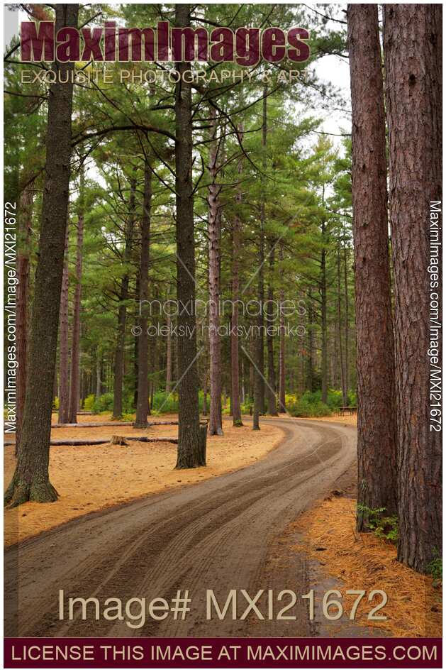 Road Through Fall Scenery