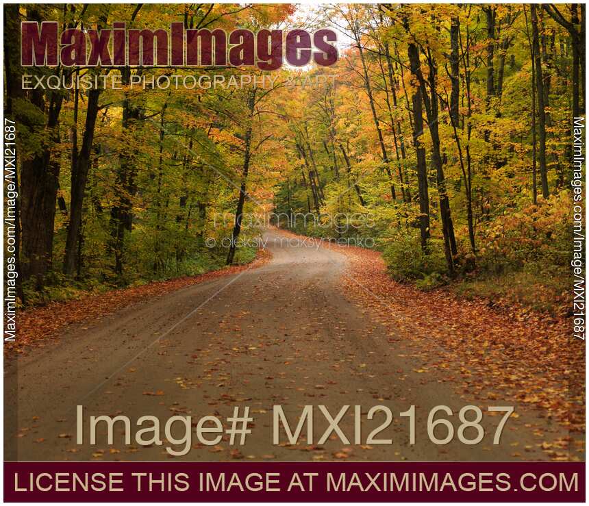 Road Through Fall Scenery