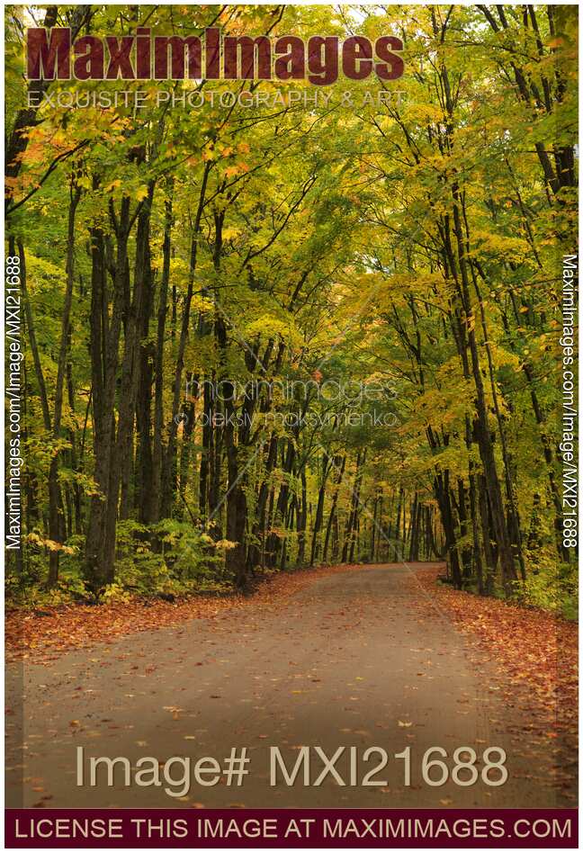 Road Through Fall Scenery