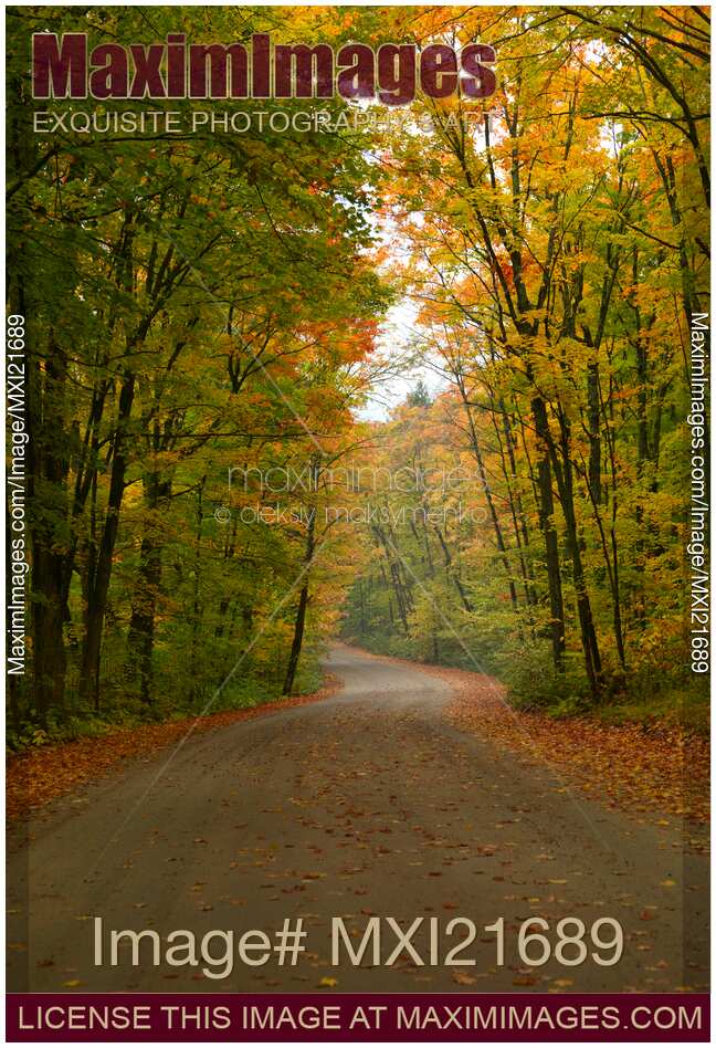 Road Through Fall Scenery
