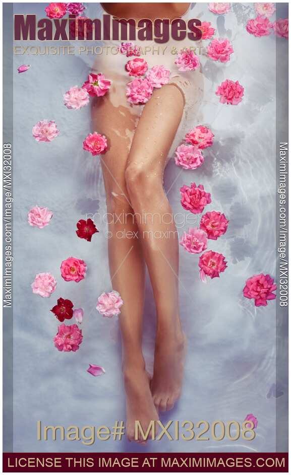 Romantic beauty care of sexy woman legs in water with pink roses