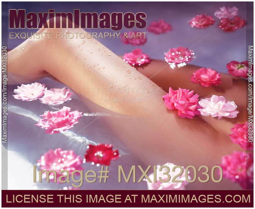 Romantic closeup of bare woman legs in a bath with pink roses floating in water