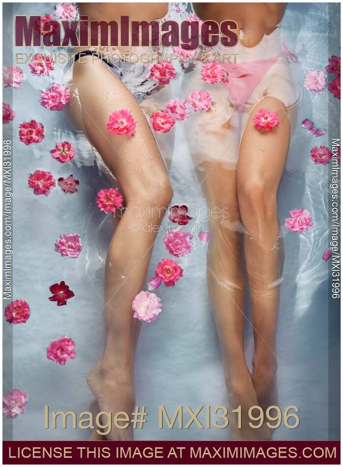 Romantic lesbian couple in a swimming pool together two pair of women legs with pink roses in water