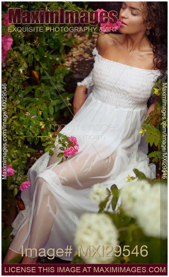Romantic sensual photo of a beautiful woman in wet dress lying under a rose bush