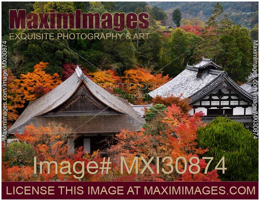 Roofs of Nanzen-ji temple buildings in colorful autumn scenery in Kyoto