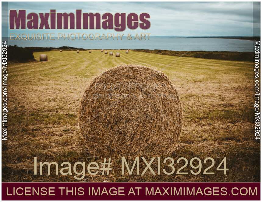 Round straw bale in a countryside scenery of a farm field in Ireland