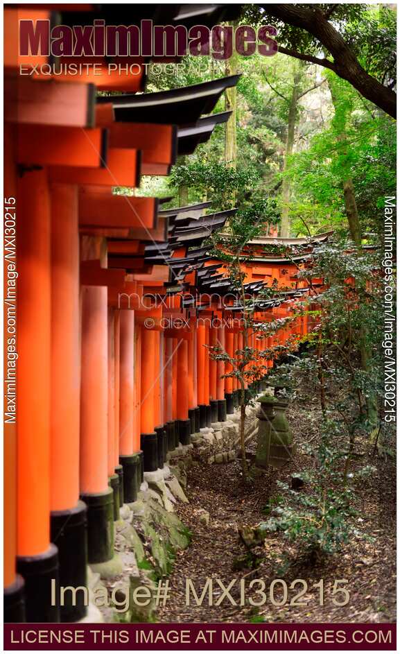 Row of Torii gates at Fushimi Inari shrine in Kyoto Japan
