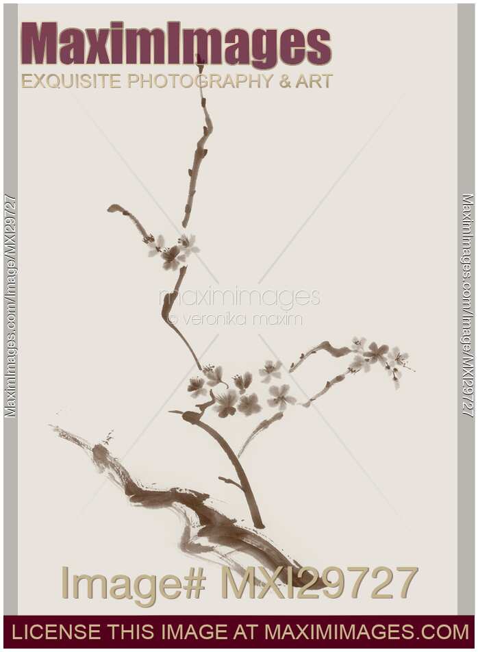 Sakura tree branch with blossoms artistic Zen design illustration on beige background