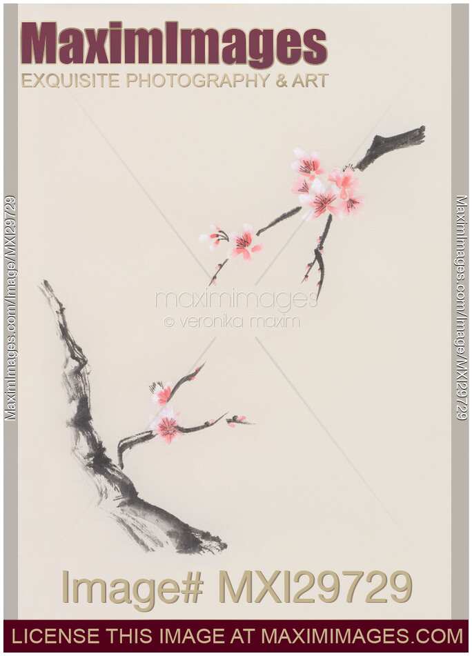 Sakura tree branches with cherry blossom flowers oriental Zen Sumie painting on beige rice paper