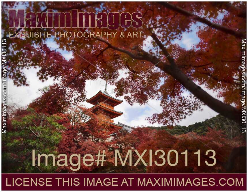 Sanjunoto pagoda of Kiyomizu-dera Buddhist temple in beautiful autumn scenery behind red Japanese maples