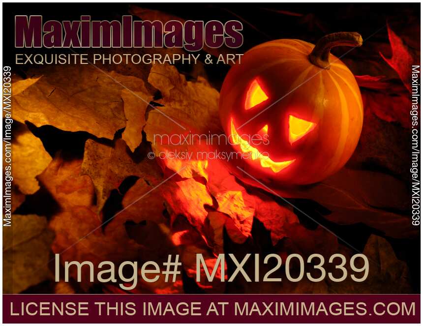 Scary Jack-o-lantern Illuminated From Inside on Autumn Leaves