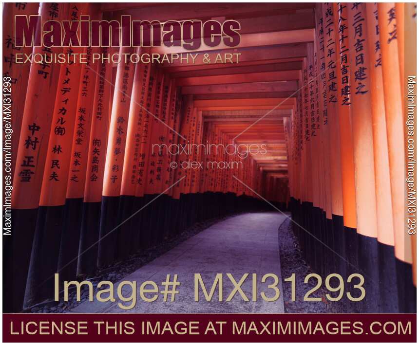 Senbon torii long passage of Torii gates at Fushimi Inari-Taisha Shrine
