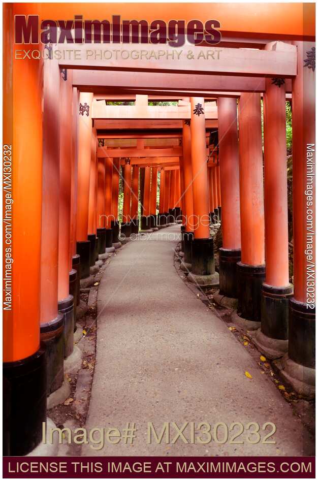 Senbon torii long path of Vermillion red Torii gates at Fushimi Inari shrine in Kyoto