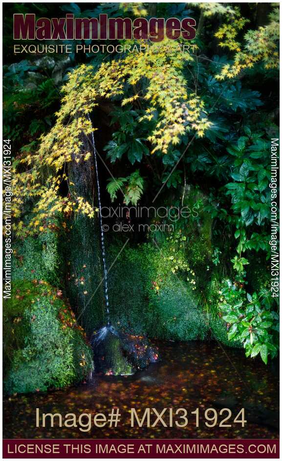 Sengetsusen small waterfall in Ginkaku-ji Temple Zen garden nature scenery
